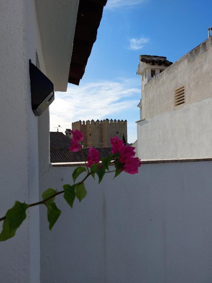 Tower Galata Cordoba
